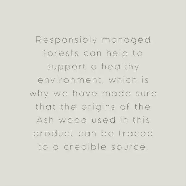 The Edited Life Ash Wood Ladder 6 The Edited Life Ash Wood Ladder - Image 4