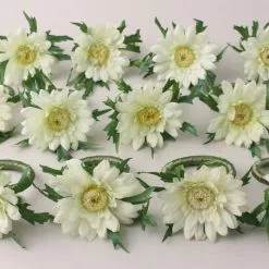 Dunelm Set Of 12 Gerbera Napkin Rings 7cm 7 Dunelm Set Of 12 Gerbera Napkin Rings 7cm - 1000182744 alt02