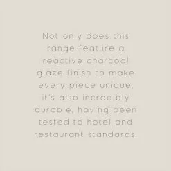 The Edited Life Urban Dinner Charcoal Plate - 1000184412 alt09