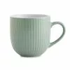 Dunelm Seafoam Blue Lyon Mug