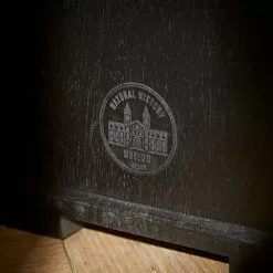 Natural History Museum Small Slim Display Cabinet - 30754174 alt04