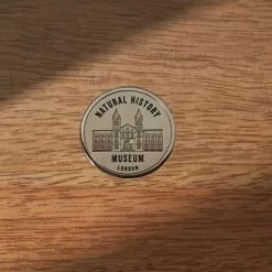 Natural History Museum Large Glazed Display Cabinet 9 Natural History Museum Large Glazed Display Cabinet - 30756115 alt03