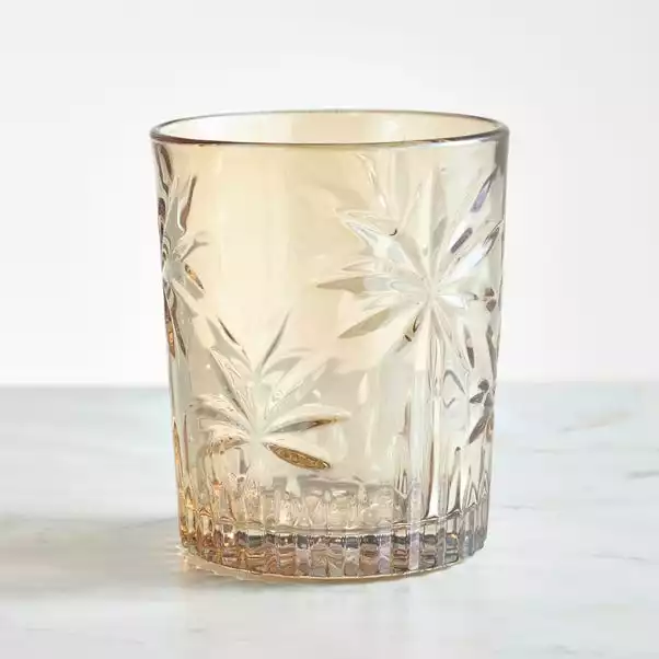 Dunelm Luxe Palm Amber Tumbler Glass 3 Dunelm Luxe Palm Amber Tumbler Glass