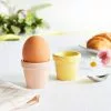 Dunelm Set Of 2 Plant Pot Egg Cups - 30798435